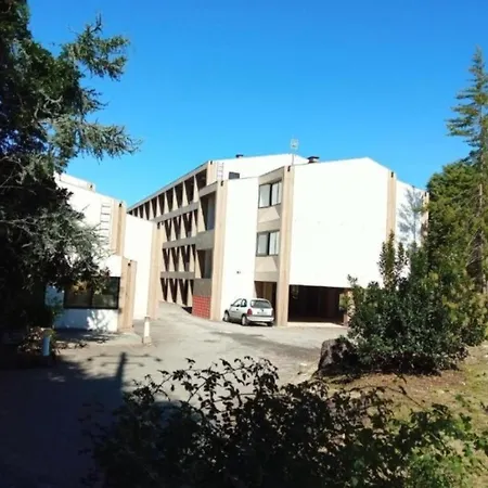 Special Place In Daire *