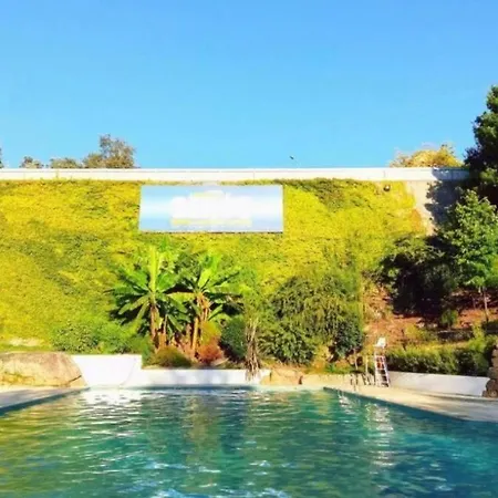 Apartment Special Place In São Pedro do Sul