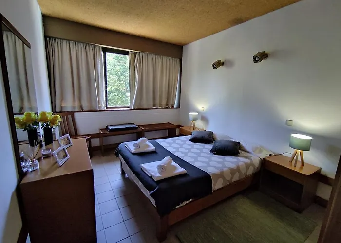 Special Place In Apartmán São Pedro do Sul